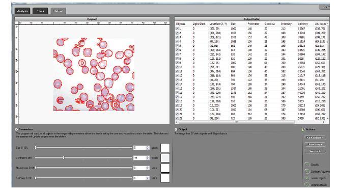 cellAnalyst interface