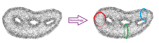 Triple torus homology.png