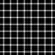 Grid_illusion_svg.png