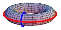 The tire (torus) has two tunnels represented by these two 