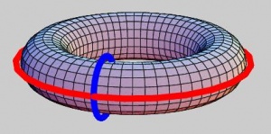 The torus (tire) has two tunnels captured by these two "cycles". In case of a donut the blue one does not count because it can be contracted (is "homologous") to a point.