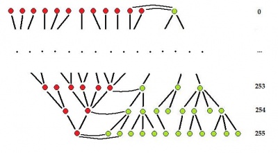 Topology graph.jpg